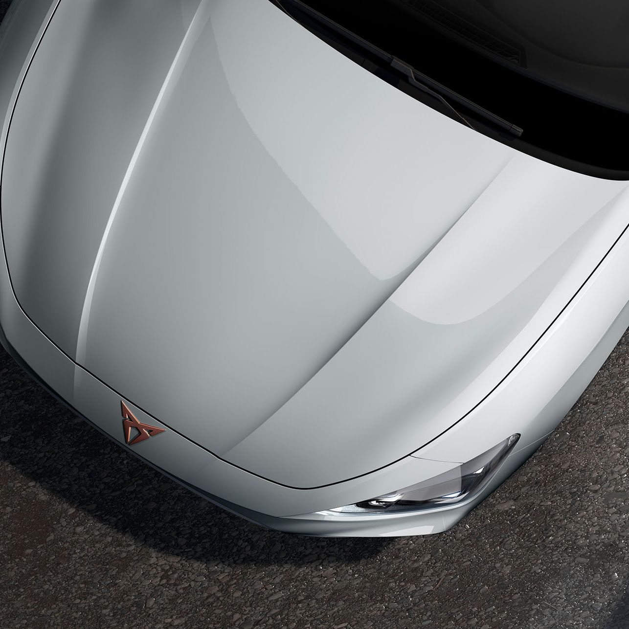 CUPRA Leon Sportstourer biela Glacier