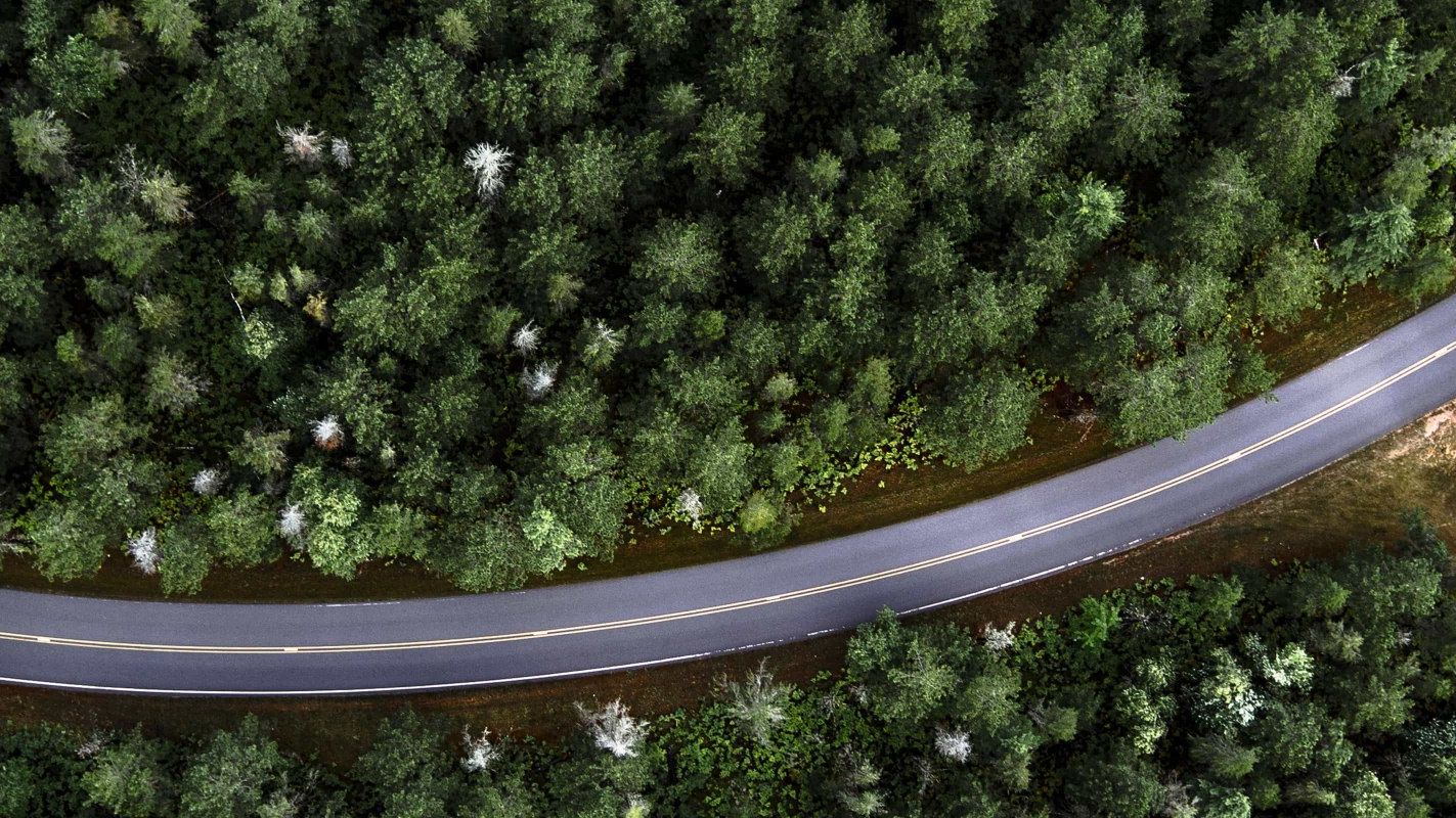 Letecký pohľad na cestu prechádzajúcu hustým lesom. Cesta je úzka a kľukatá, obklopená zelenými stromami.